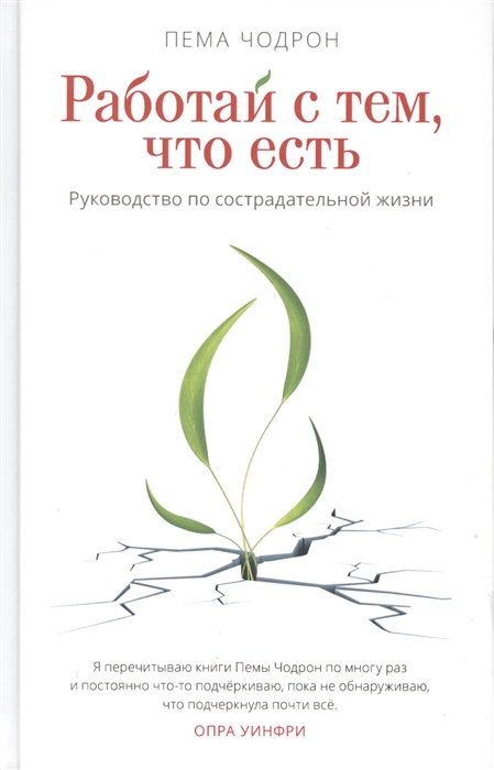 фото Книга работай с тем, что есть. руководство по сострадательной жизни ганга