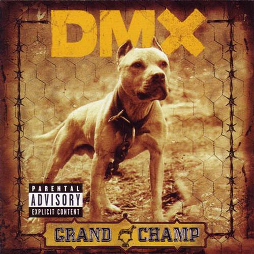 

DMX Grand Champ