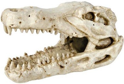 Грот для аквариума TRIXIE Crocodile Skull Череп крокодила 14cм, полиэфирная смола 7х14х8см
