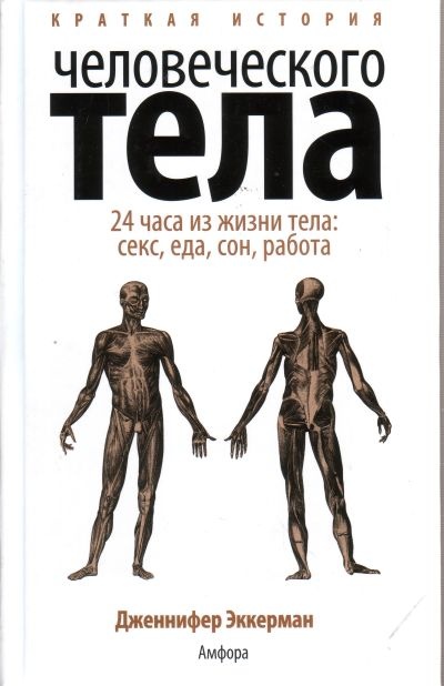 фото Книга краткая история человеческого тела. 24 часа из жизни тела: секс, еда, сон, работа амфора