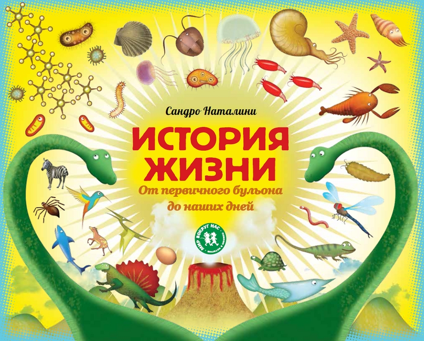 

Анатомия. картография Человеческого тела