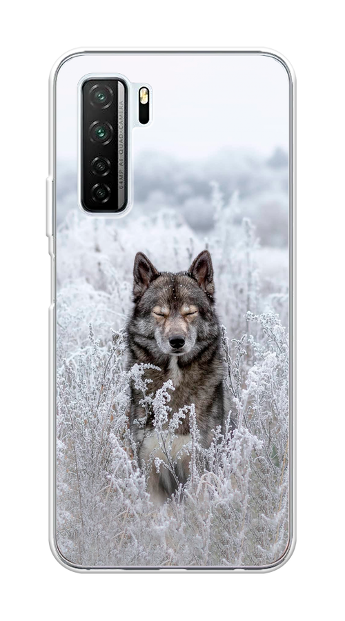 

Чехол Awog на Huawei Nova 7 SE "Волк в поле", Белый;черный, 6102950-1