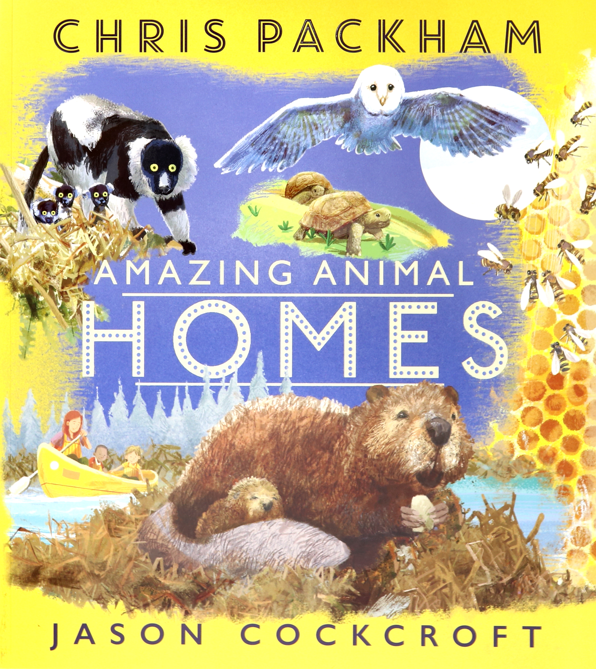 

Amazing Animal Homes