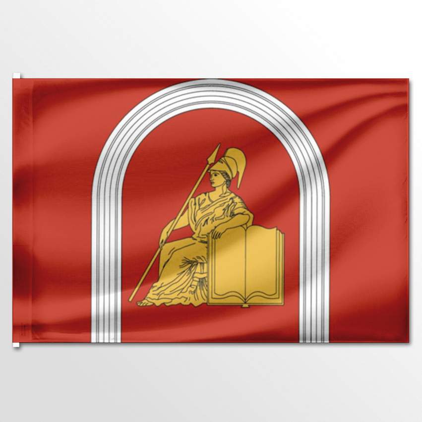 

Флаг ЦТП ФЕНИКС Академического Санкт-Петербург 135x90 см, 3451-135x90