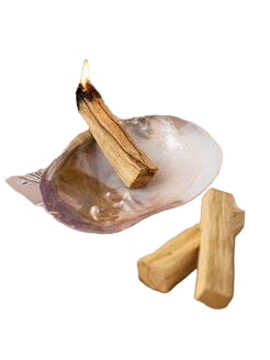 

Ракушка подставка и 3 Пало Санто, Коричневый;бежевый, Ракушка Натуральная