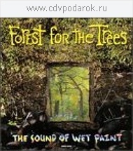 

Forest for the Trees: Sound of Wet Paint