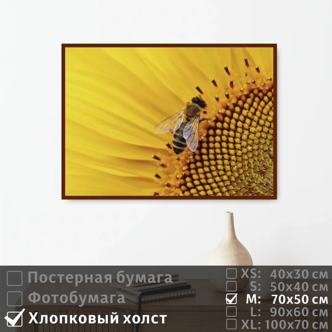 

Постер на холсте ПолиЦентр Пчела в подсолнухе 70х50 см, ПчелаВПодсолнухе