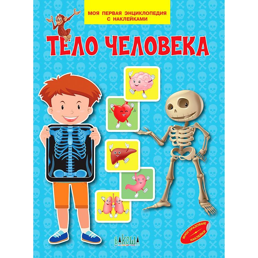 

Энциклопедия Тело человека. Моя первая энциклопедия с наклейками
