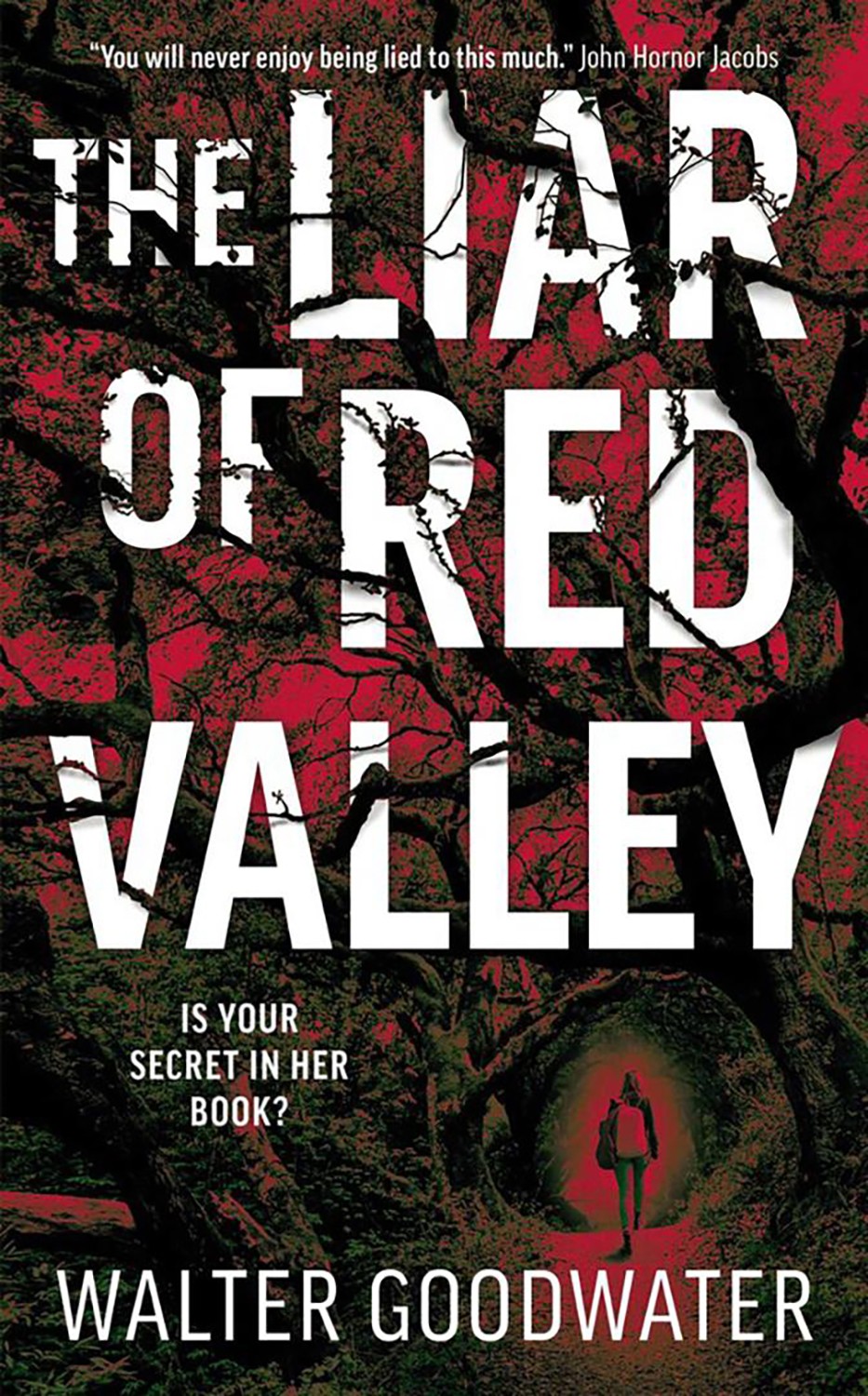 The Liar of Red Valley 600018939827