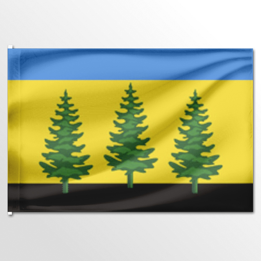 

Флаг ЦТП ФЕНИКС Еловского района 135x90 см, 2250-135x90