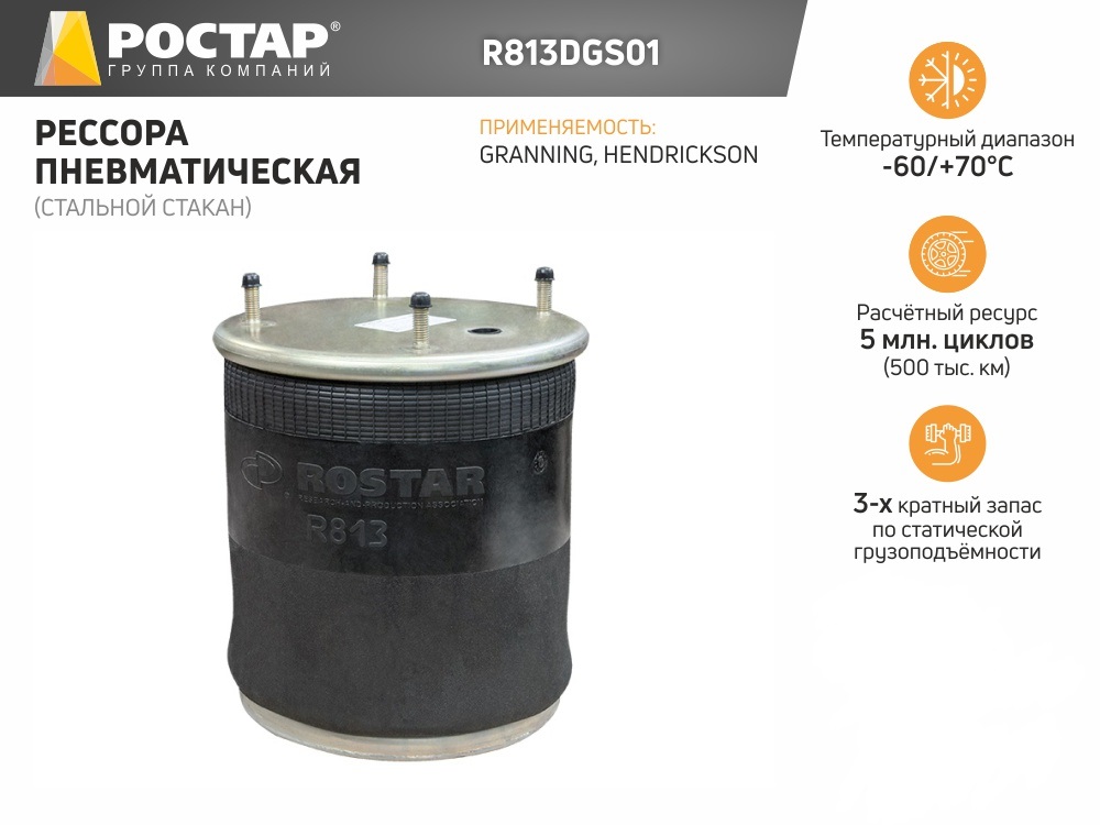 

R813DGS01_пневморессора стальной стакан (813MB)