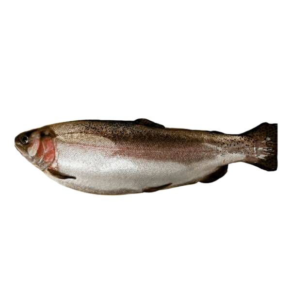 

Форель радужная Форелино охлажденная +-1 кг