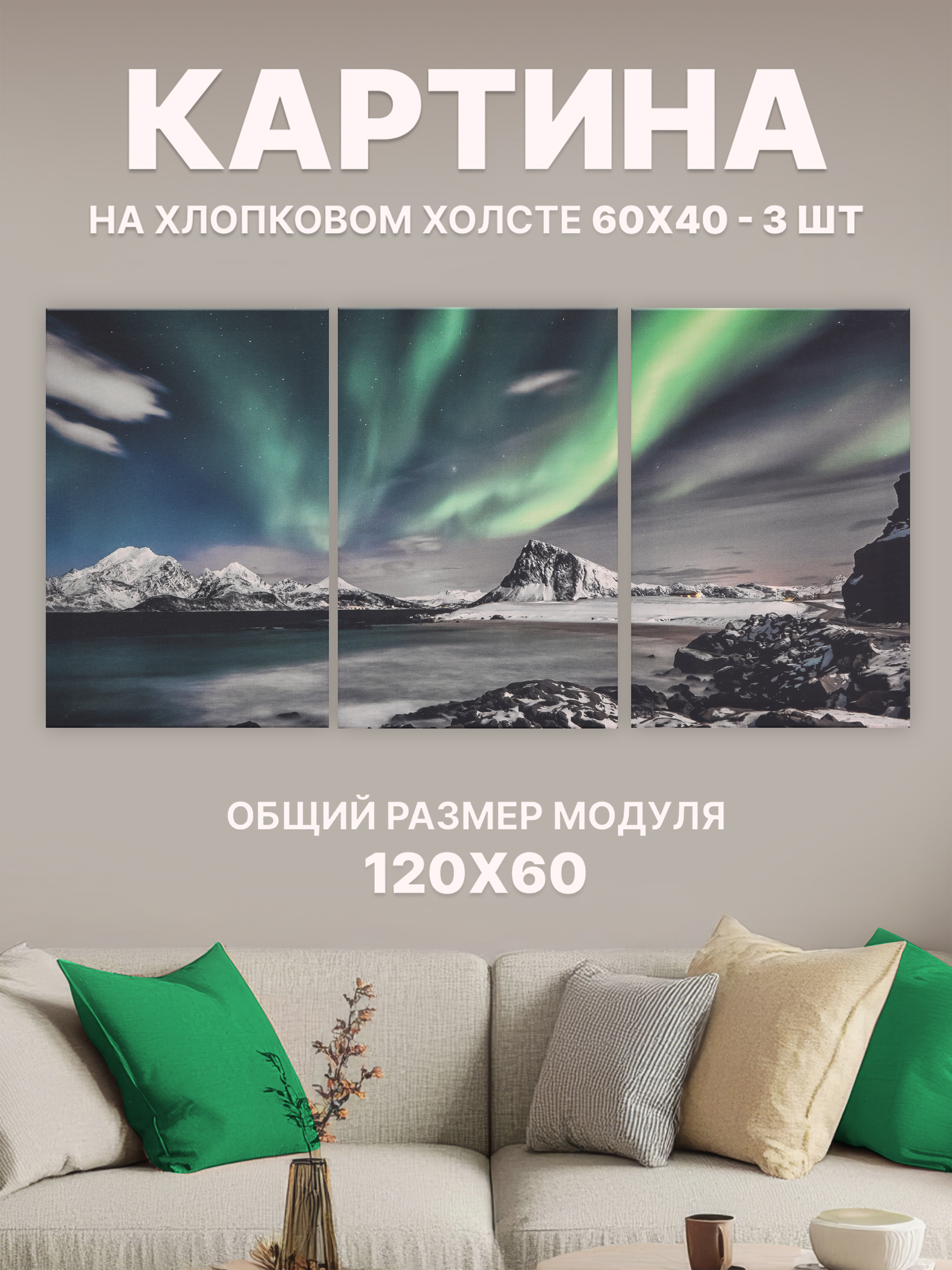 

Картина модульная Stylish Solutions Северное сияние для офиса и дома 60х120 см RE1A310, StylishSolutionsPRPG1