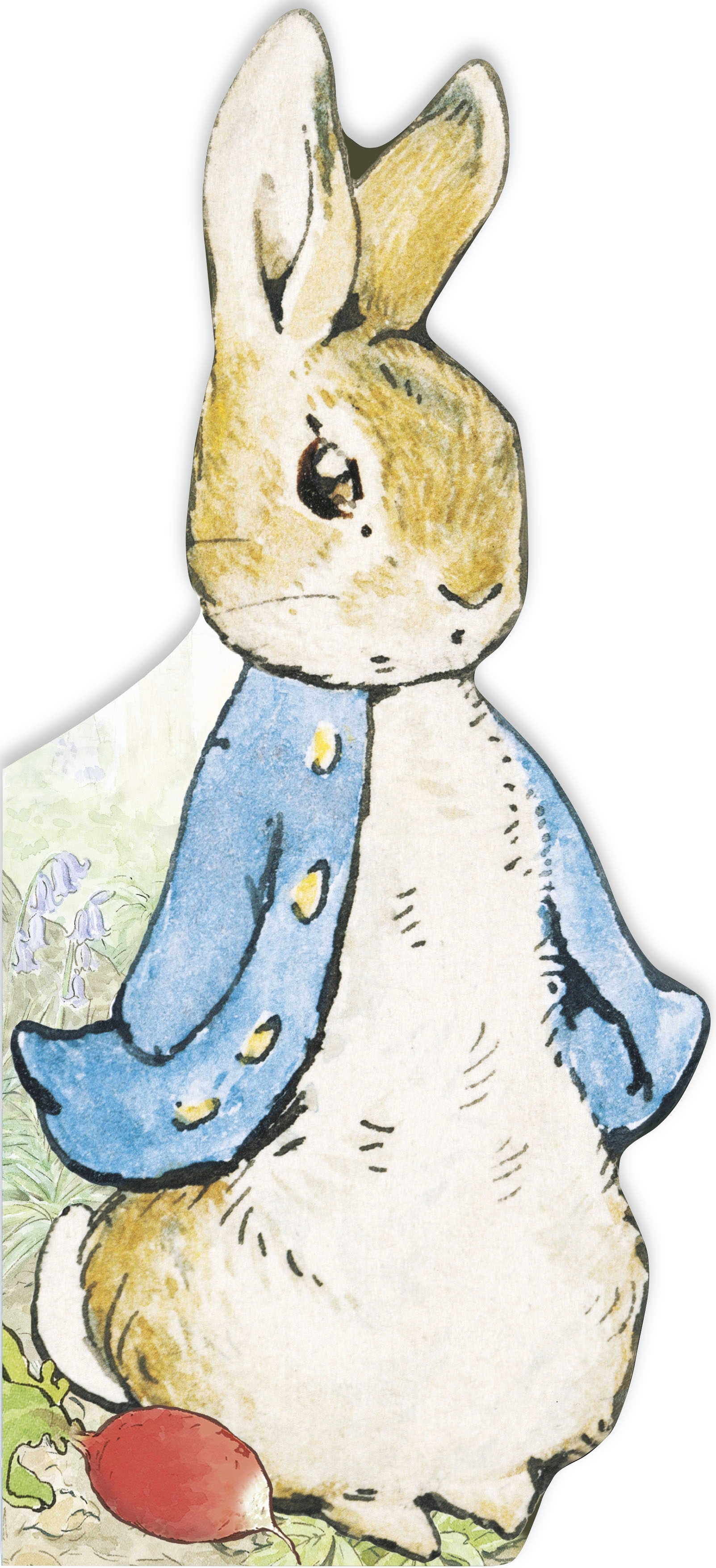 

Peter Rabbit. All About Peter