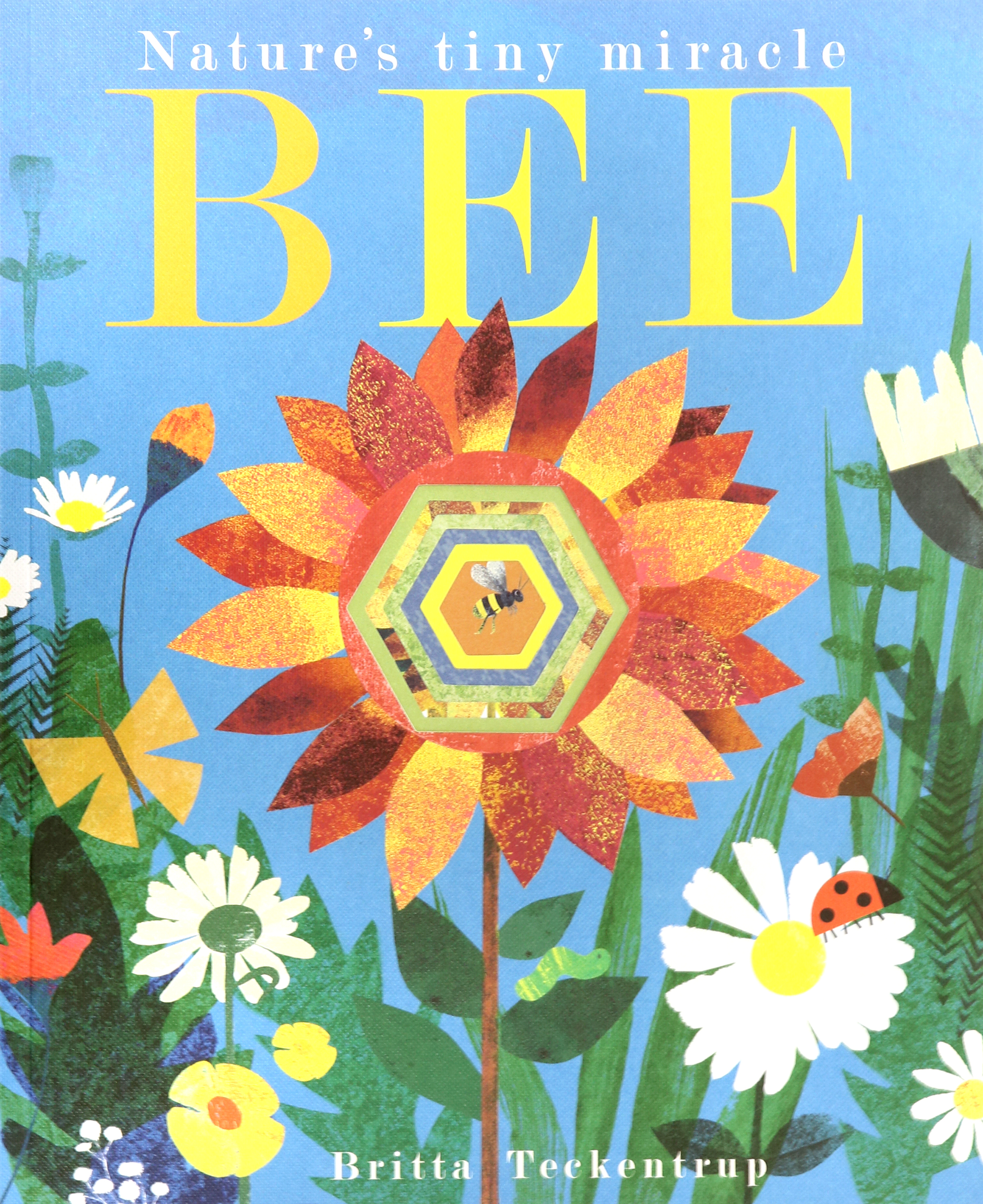 

Bee: Nature's Tiny Miracle (PB)