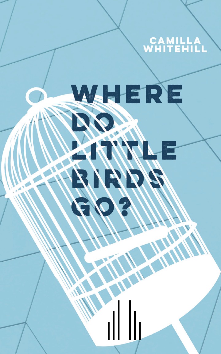 

Where Do Little Birds Go