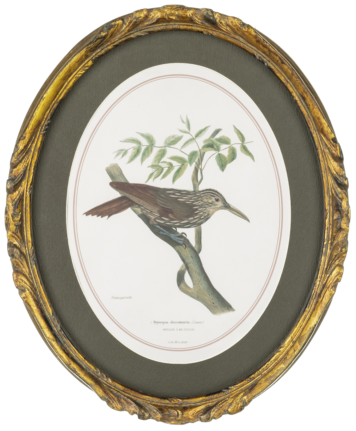 

Картина в раме 23x2x28см Glasar 28-640