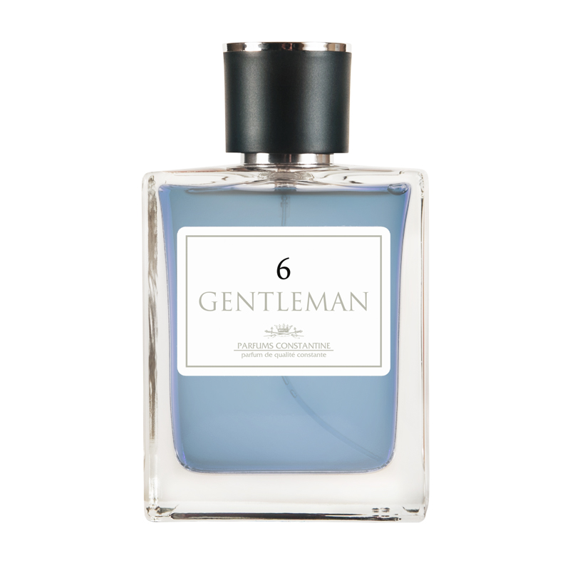 gentleman society extreme парфюмерная вода 100мл уценка Мужская туалетная вода Parfums Constantine Gentleman №6 100 мл