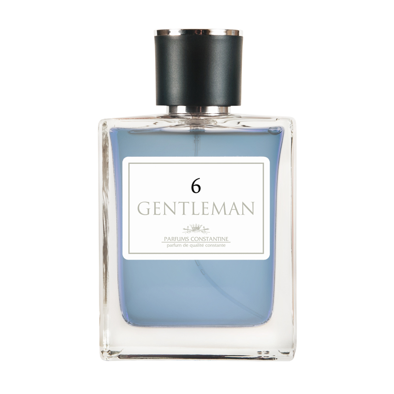 Мужская туалетная вода Parfums Constantine Gentleman №6 100 мл туалетная вода parfums constantine private collection gentleman 15