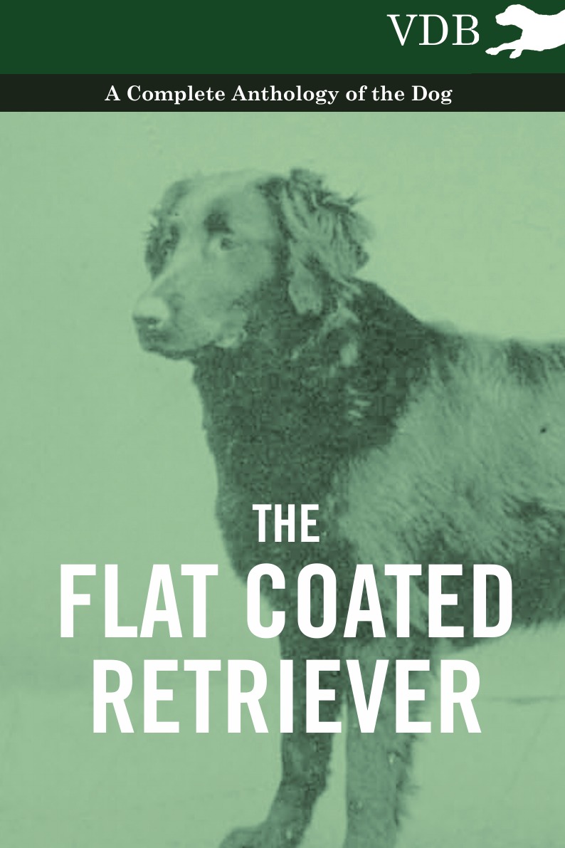 

The Flat Coated Retriever - A Complete Anthology of the Dog