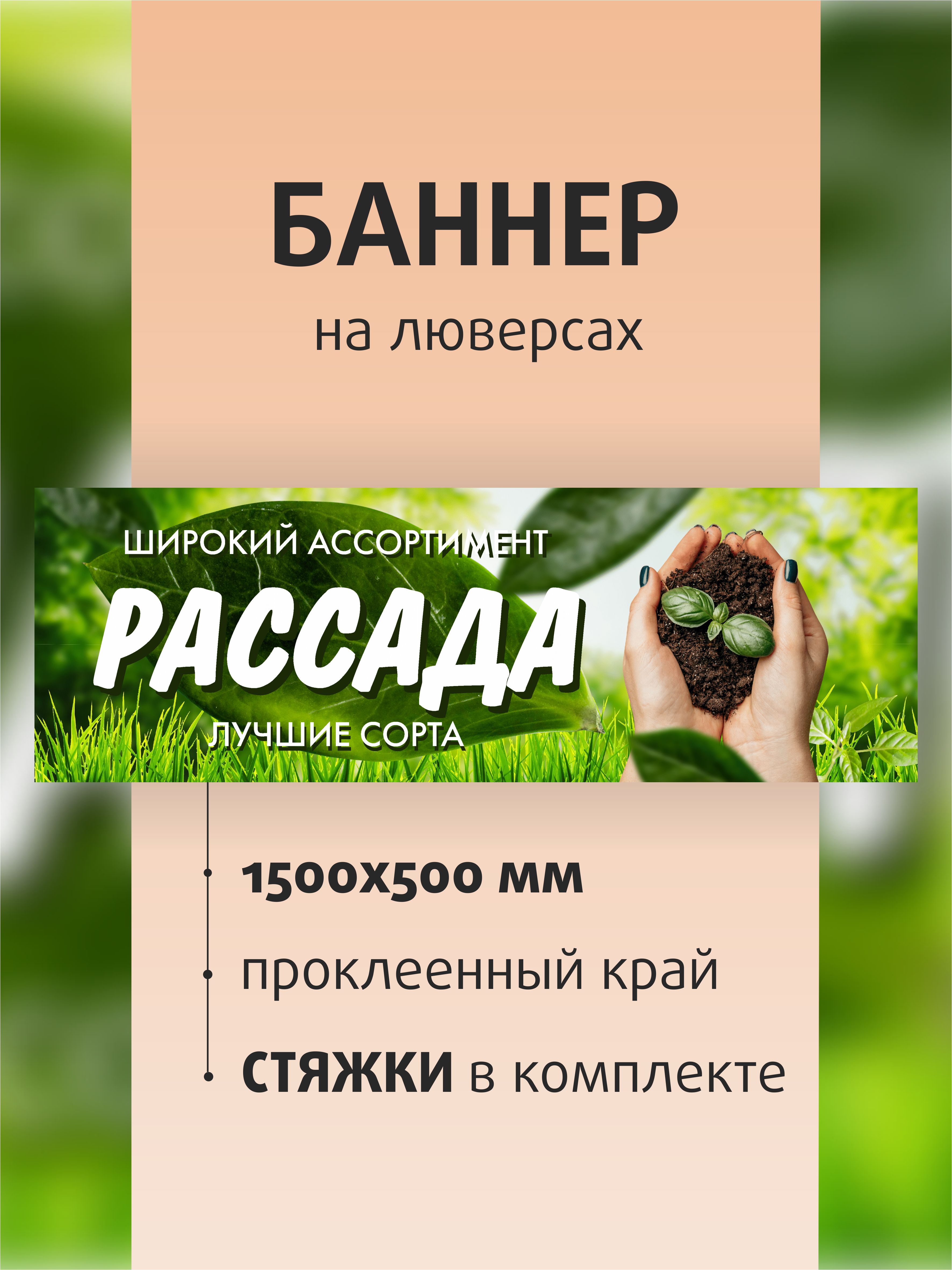 

Баннер вывеска Kapitel.HOME Рассада 150х50см на люверсах, Зеленый, Баннер