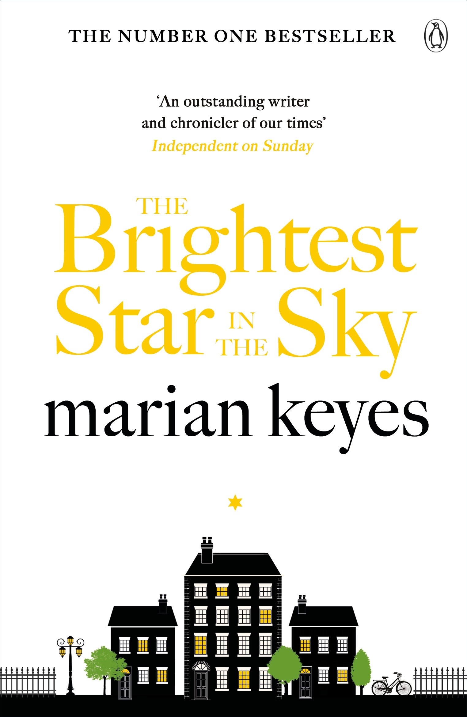 

The Brightest Star in the Sky