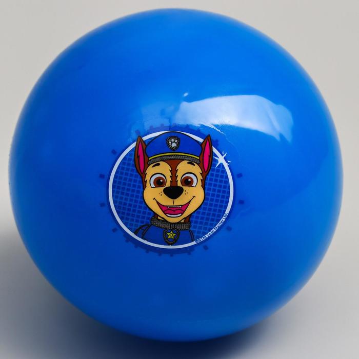 фото Мяч детский paw patrol "гончик", 16 см, 50 гр, цвета микс