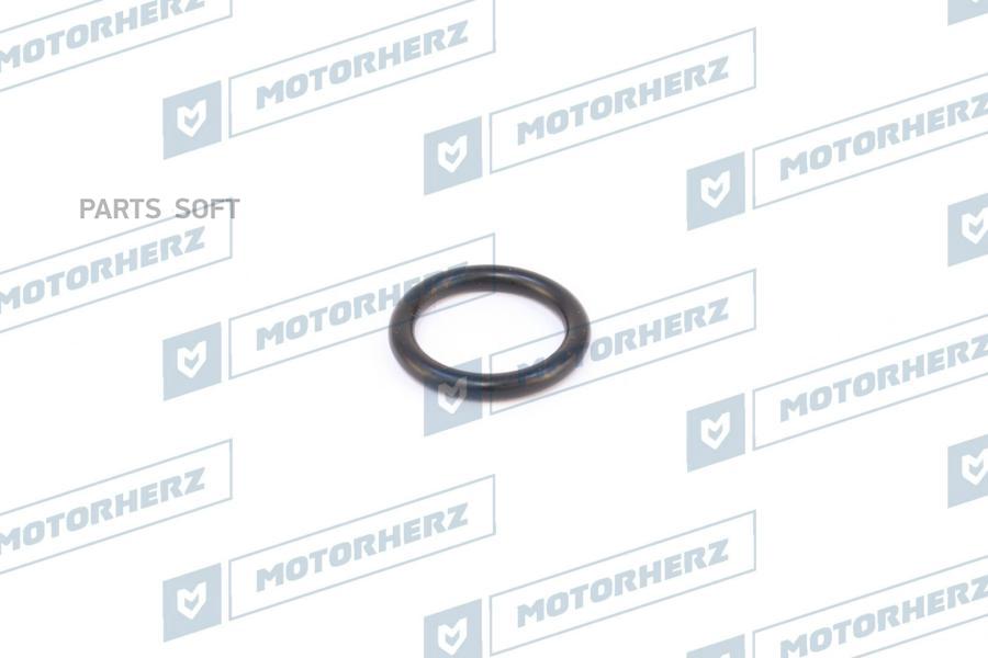 

MotorHerz HR0527