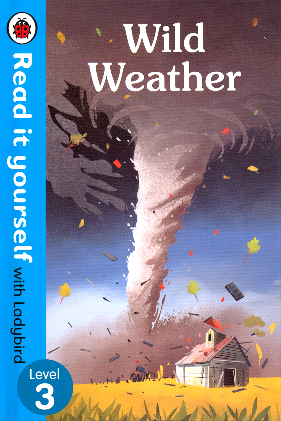 

Wild Weather. Level 3