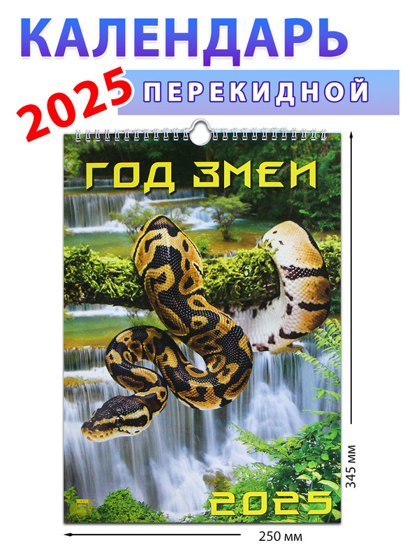 Календарь настенный на 2025 год Год змеи , 250х345