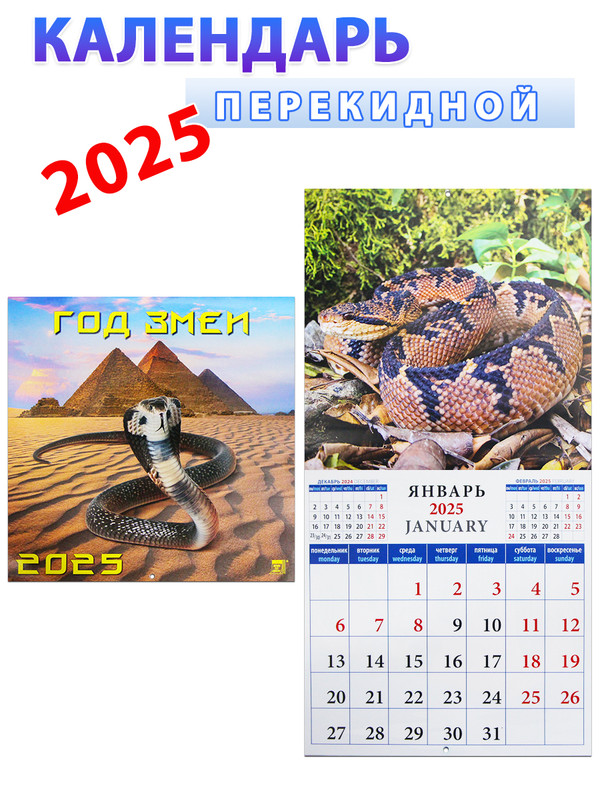 Календарь на 2025 год: Год змеи 30х30 см