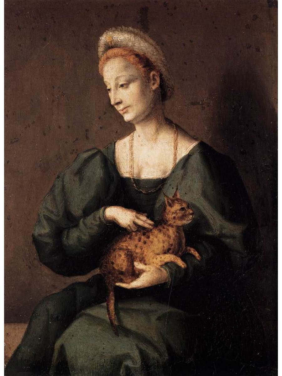 

Постер DRABS A3 Баккьякка Woman with a Cat