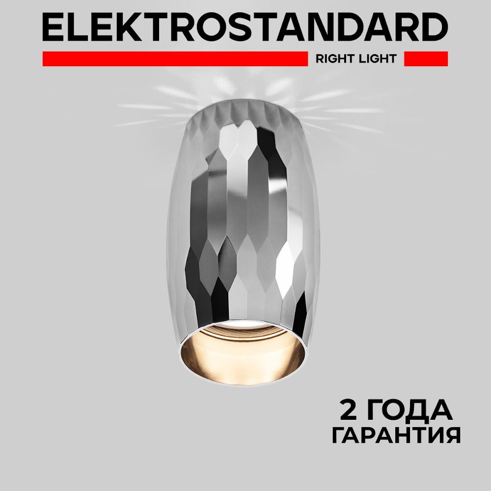 Накладной точечный потолочный светильник Elektrostandard DLN104 GU10 хром DLN104 190923