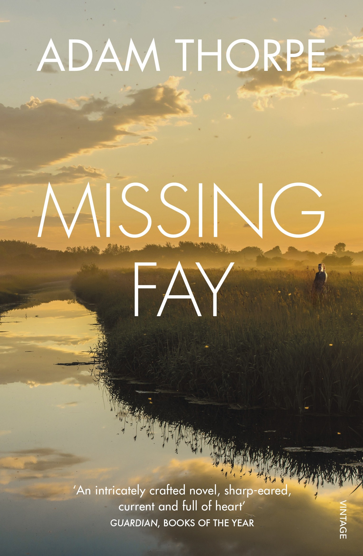 

Missing Fay