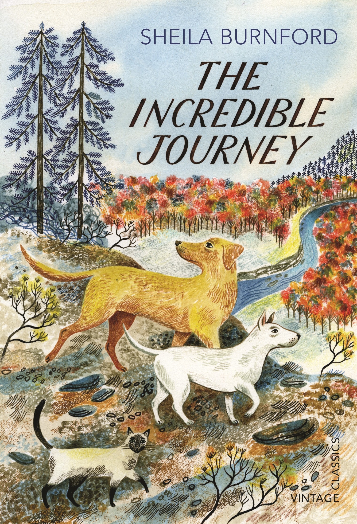 

The Incredible Journey