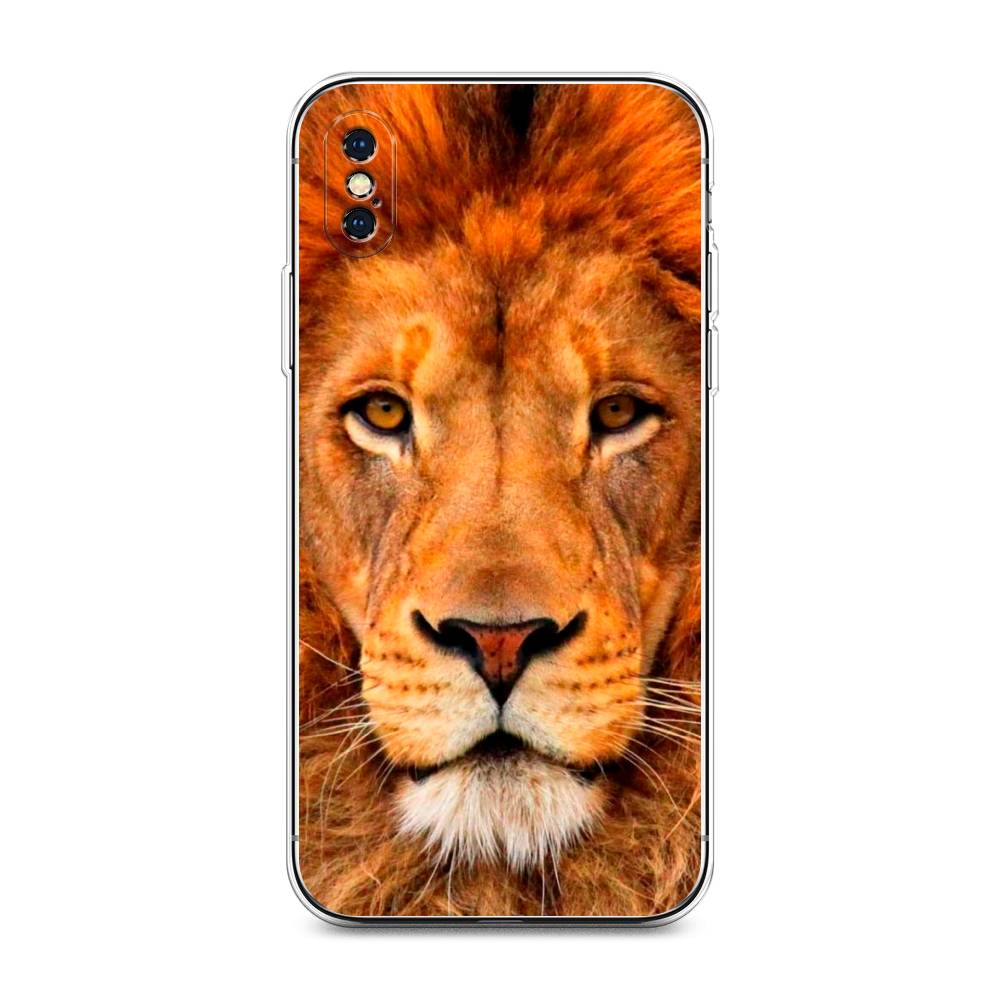 

Чехол на Apple iPhone XS Max "Благородный лев", Оранжевый, 11950-1