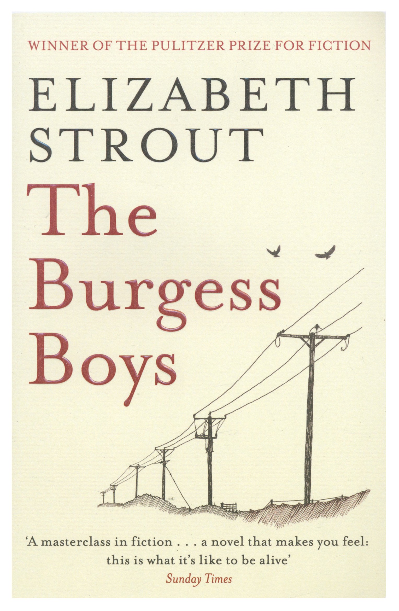 

The Burgess Boys
