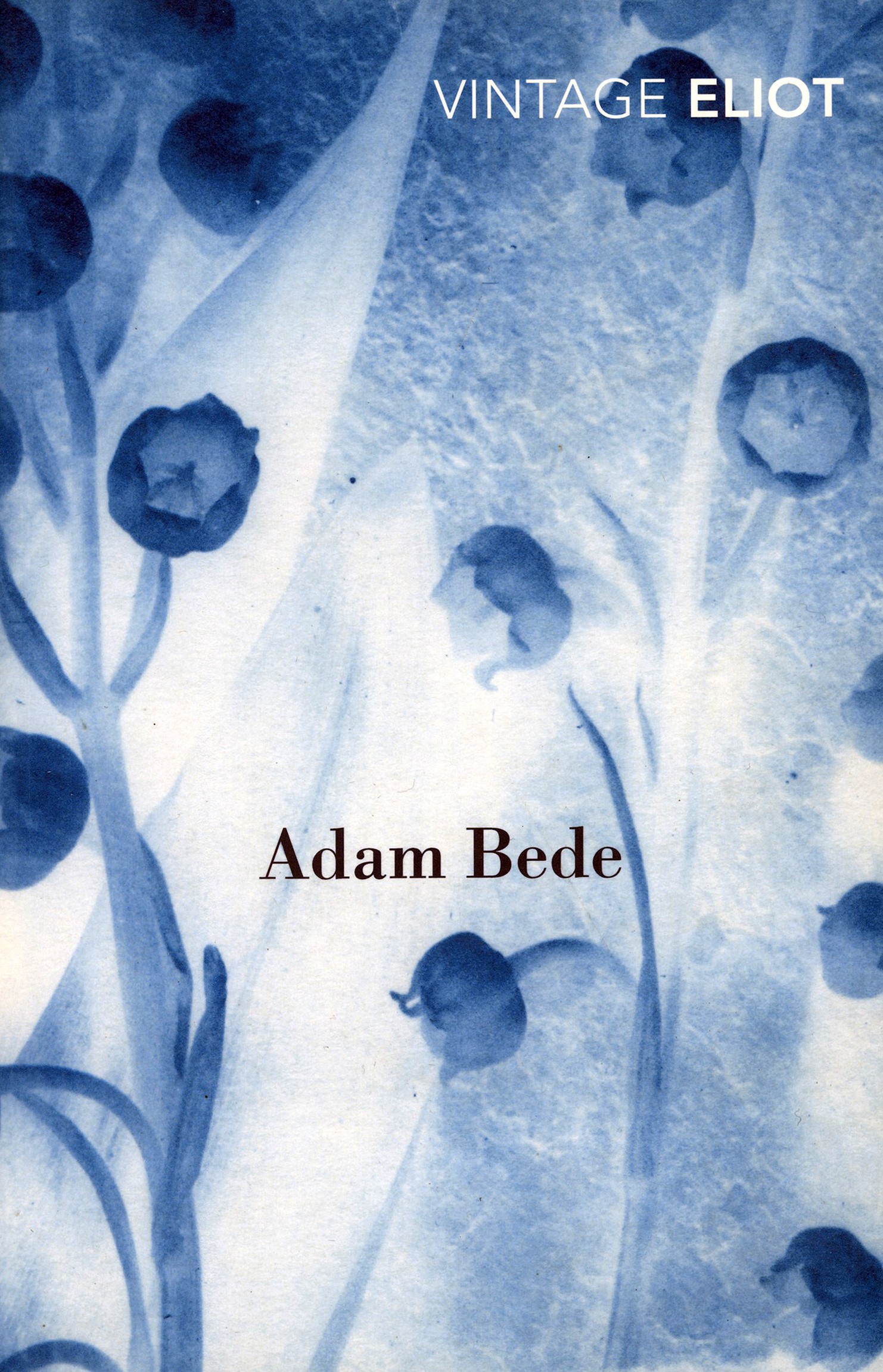 

Adam Bede