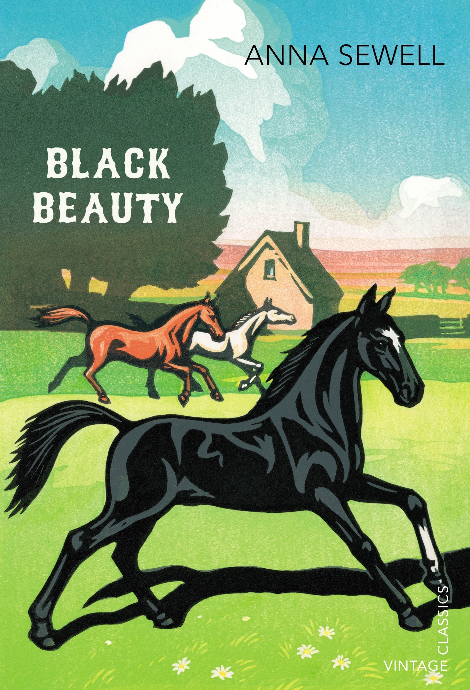 

Black Beauty