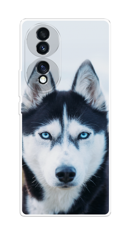 

Чехол на Honor 70 "Хаски 2", Синий;белый, 6108250-1