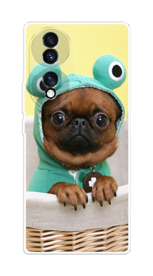 

Чехол на Honor 70 "Собачка в шапке лягушки", Коричневый;желтый;голубой, 6108250-1