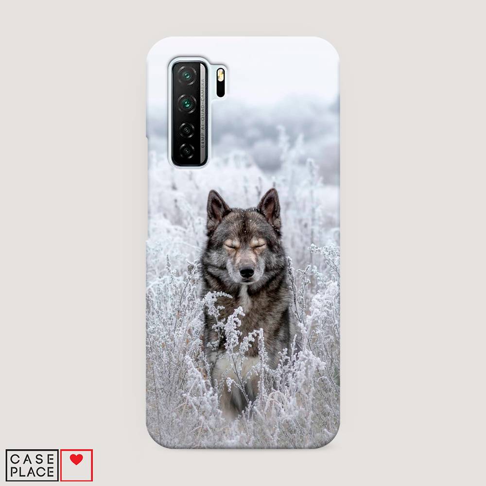 

Чехол Awog "Волк в поле" для Huawei Nova 7 SE, 6102920-1