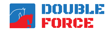 

Колодки тормозные барабанные () 1шт DOUBLE-FORCE DFS8639, DFS8639