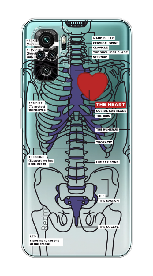 

Чехол на Xiaomi Redmi Note 10/Note 10S, Poco M5s "Скелет человека", Прозрачный;синий;красный, 316250-1