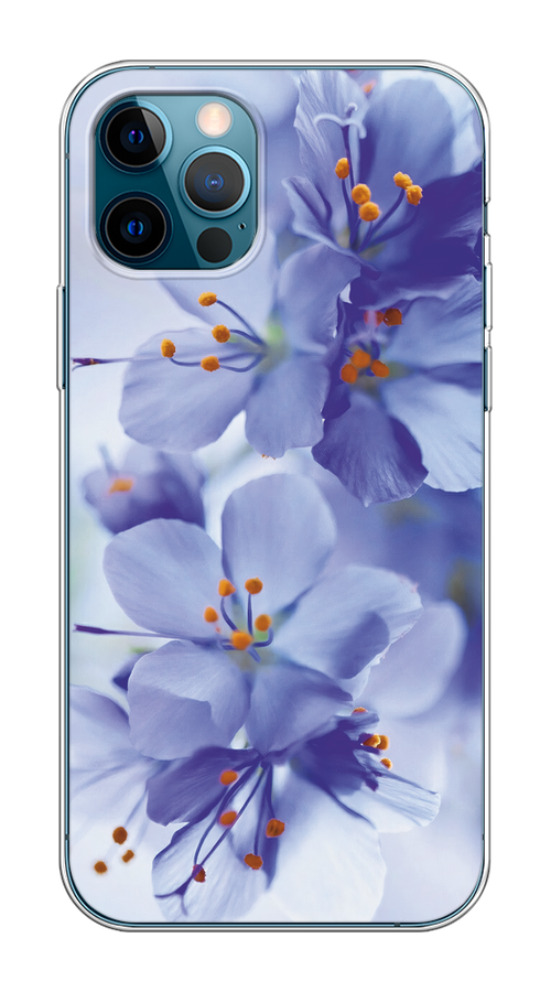 

Чехол на Apple iPhone 12/12 Pro "Фиолетовые цветки", Фиолетовый;синий, 12850-1
