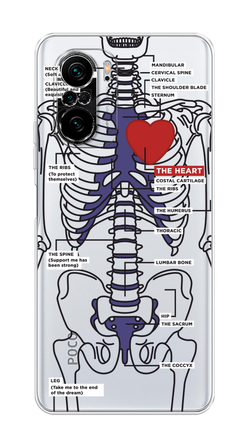 

Чехол на Poco F3, Xiaomi Redmi K40/Mi 11i "Скелет человека", Прозрачный;синий;красный, 312650-1