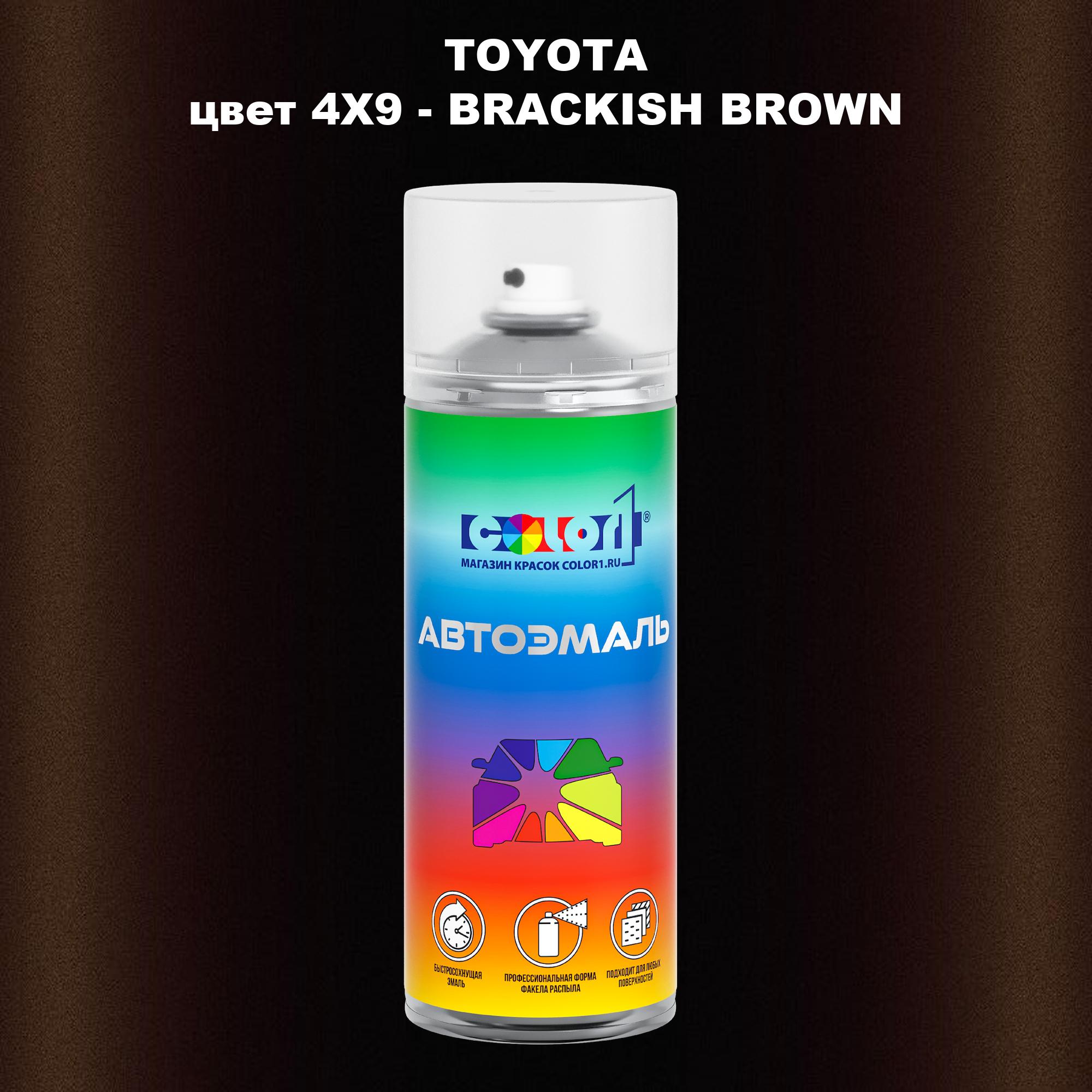 

Аэрозольная краска COLOR1 для TOYOTA, цвет 4X9 - BRACKISH BROWN, Прозрачный