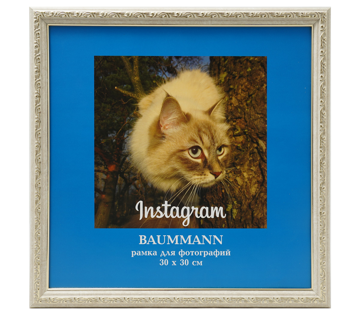 

Фоторамкa Baummann 30x30 см C4, Белый;золотистый, C4 (коралловый)