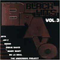 Various Artists: Bravo Black Hits V.3