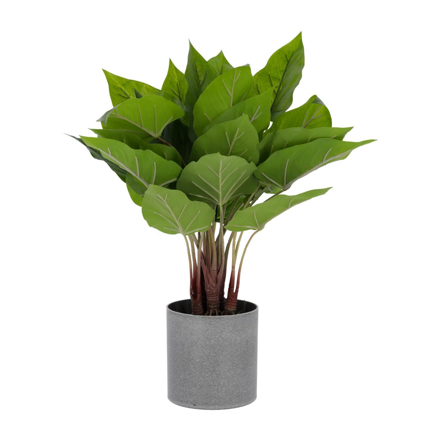 

Flower Искусственный антуриум 45см, Зеленый;серый